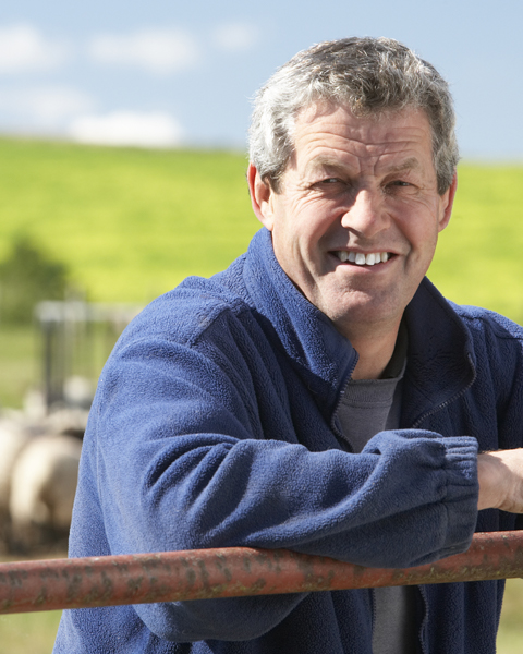 New Zealand Spring Lamb Farmers