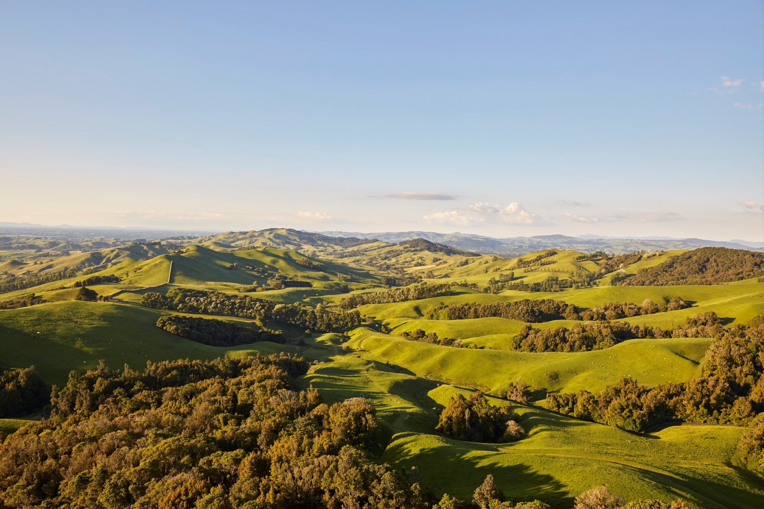 Setting the Standard for More Sustainable Agriculture in New Zealand Article Image