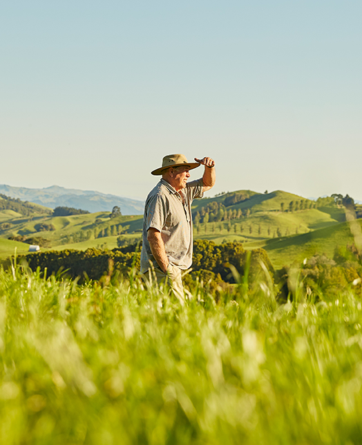 Low Carbon Beef and Lamb from New Zealand Beef and Lamb